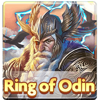 Odin game icon